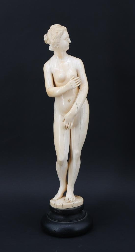 Expertise IVOIRE -Vénus - Artemis Estimations