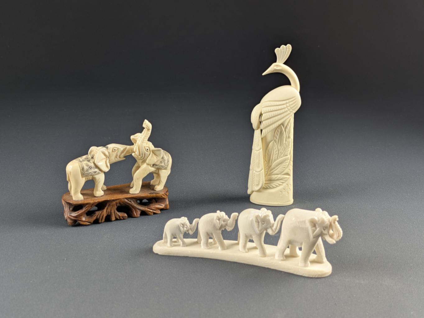 Expertise Lot sujets os - Artemis Estimations