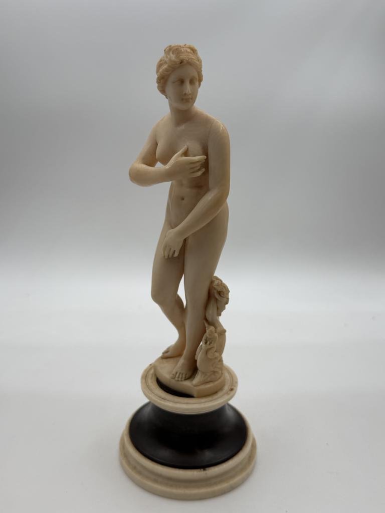Expertise Ivoire - Venus - Artemis Estimations