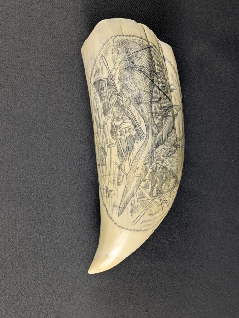 Expertise Scrimshaw - barque Sea Witch - Artemis Estimations