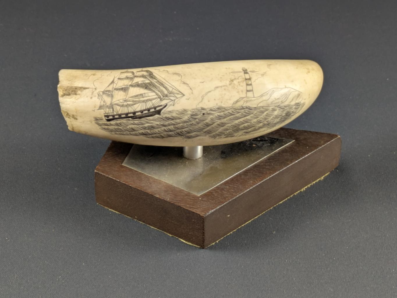 Expertise Scrimshaw - navire phare - Artemis Estimations