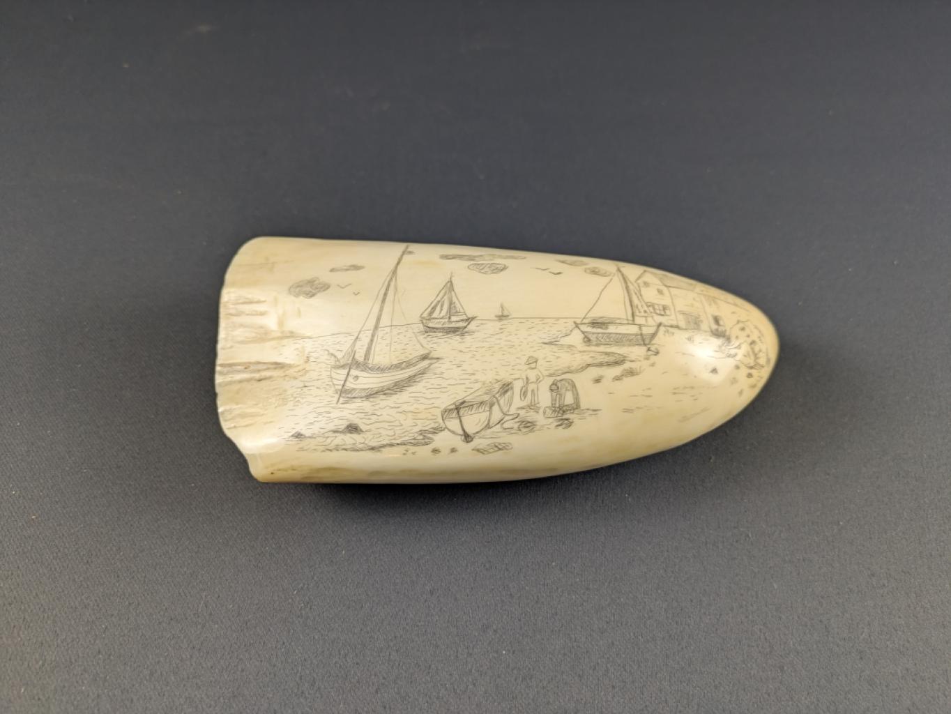 Expertise Scrimshaw - bord de côte - Artemis Estimations