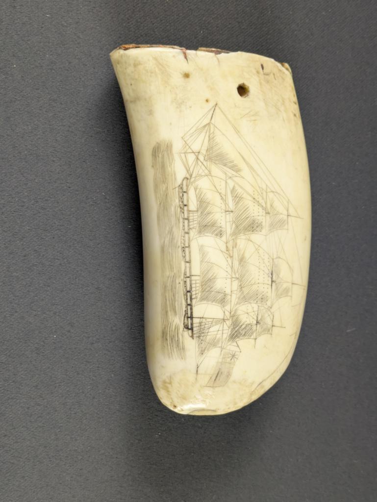 Expertise Scrimshaw - baleinier - Artemis Estimations