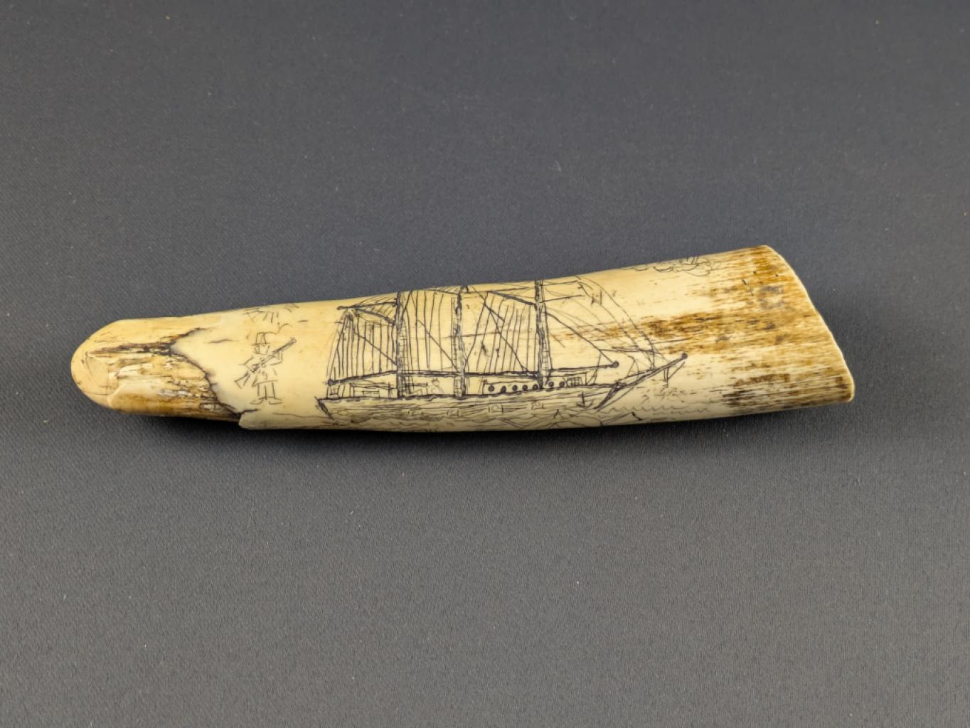 Expertise Morse - scrimshaw - Artemis Estimations