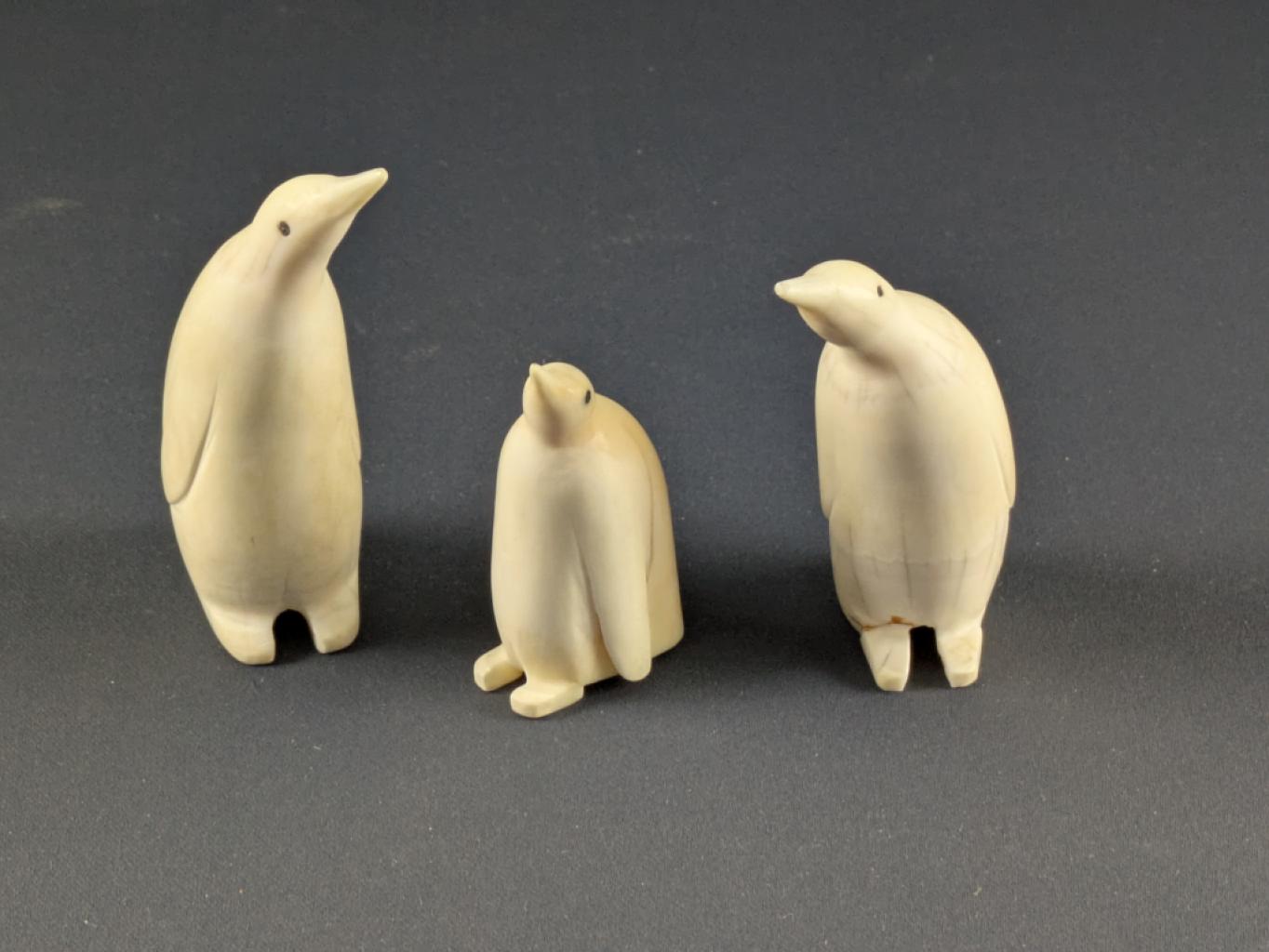 Expertise Cachalot - 3 manchots  - 3 tailles - Artemis Estimations