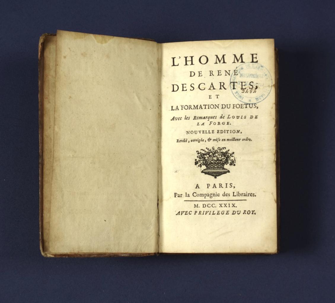 Expertise MEDECINE EUROPEENNE - Artemis Estimations