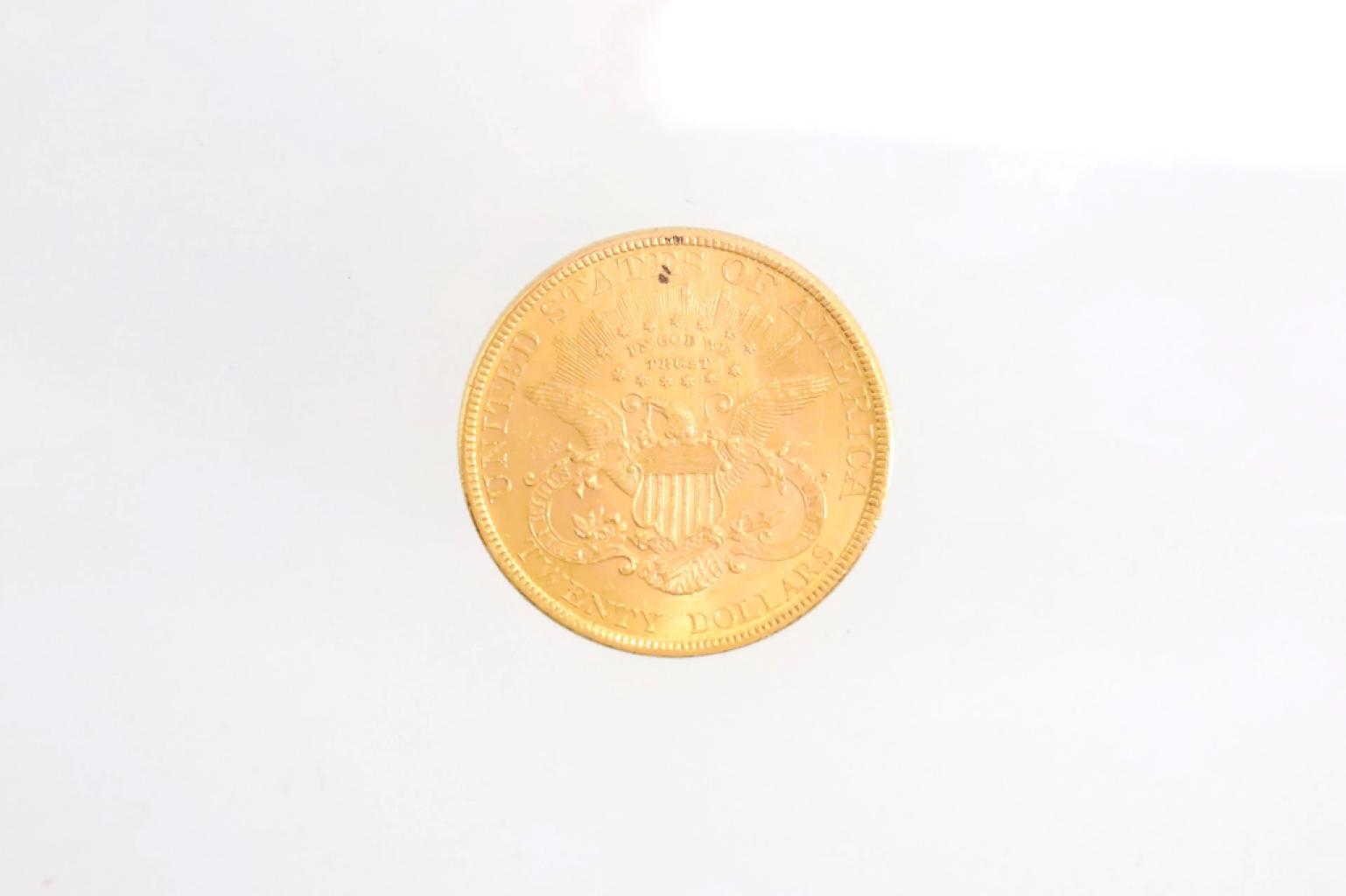 Expertise 20 DOLLARS - Artemis Estimations