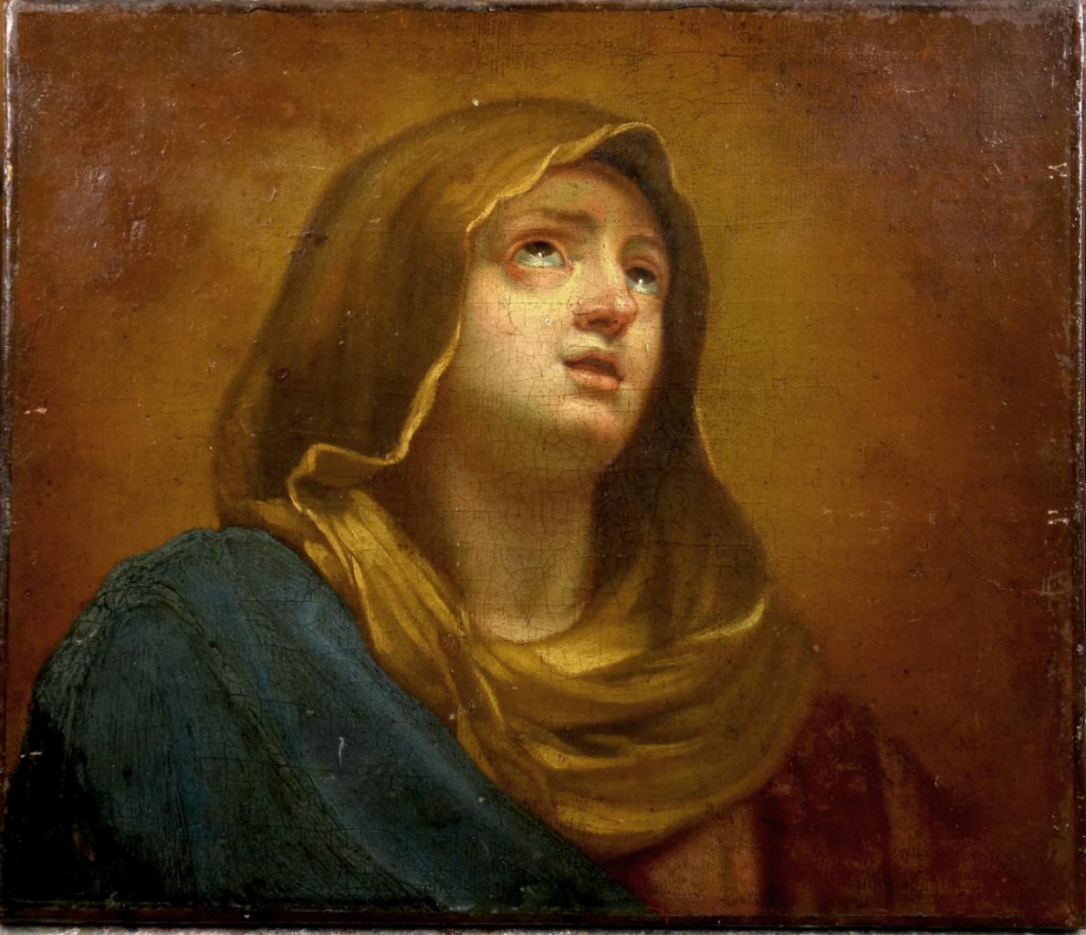 Expertise VIERGE - Artemis Estimations